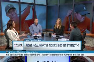 What is Tiger's Biggest Strength?