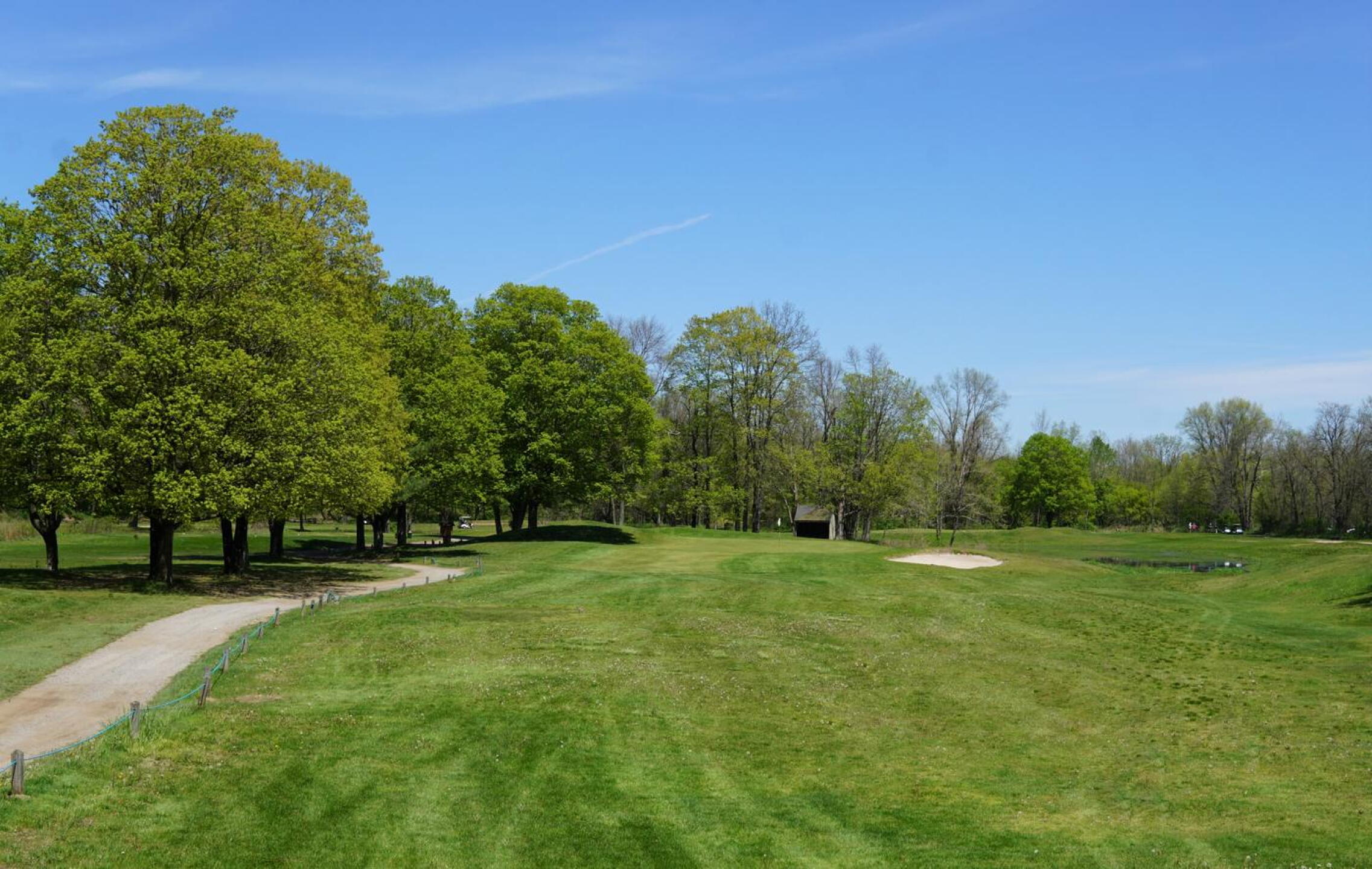 At five, the tee shot (blue tees) needs to travel some 190 yards to reach the green. (Photo submitted by AptlyLinked on 05/09/2023)