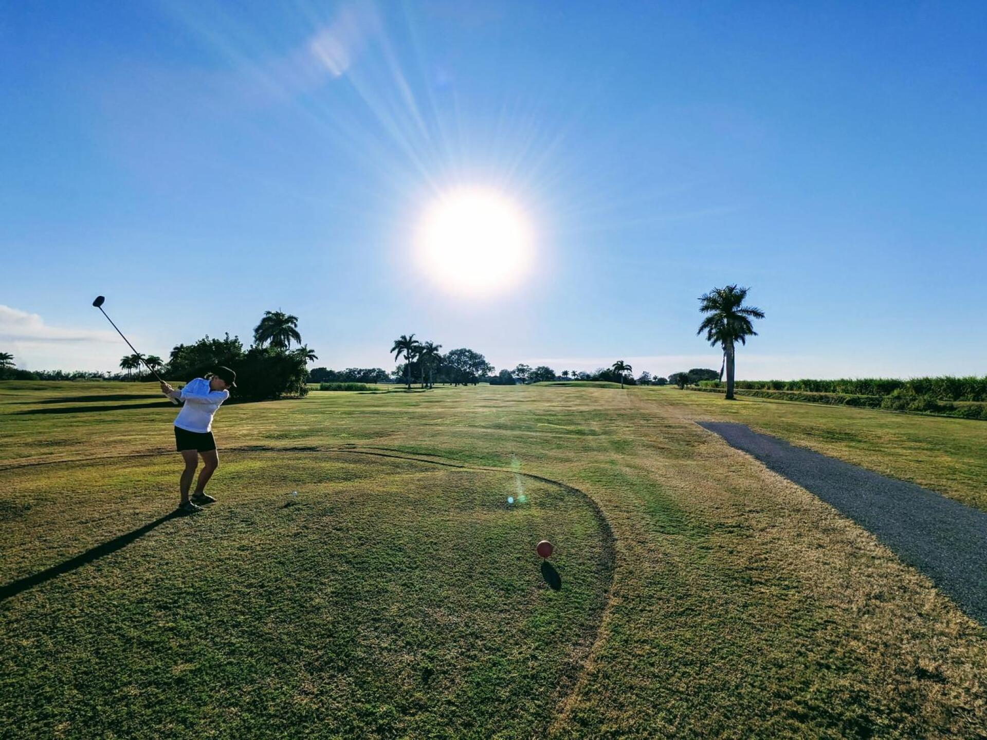 (Photo submitted by AlexanderGR8T on 01/19/2023)