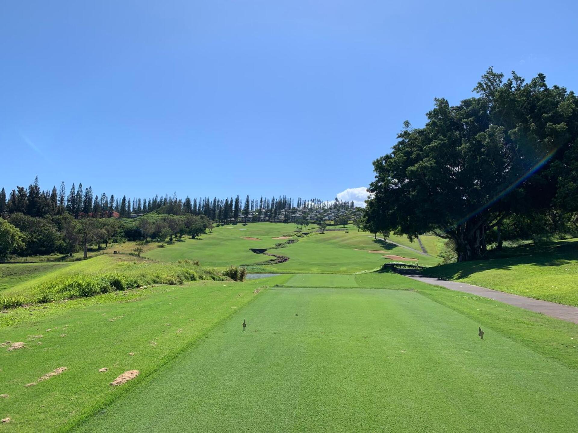 Kapalua Resort - The Plantation Course in Lahaina, Hawaii, USA | GolfPass