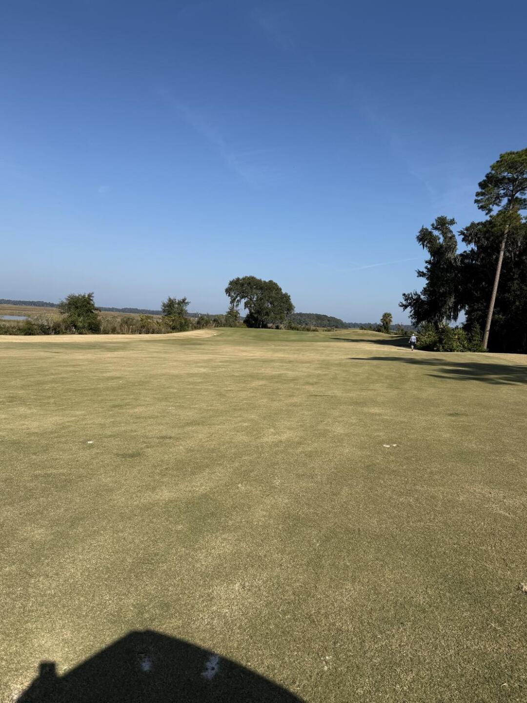 (Photo submitted by tomrayzorback on 11/21/2025)