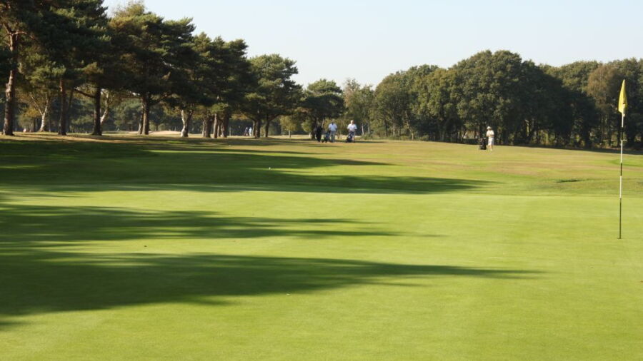8th green at Lee-on-the-Solent Golf Club