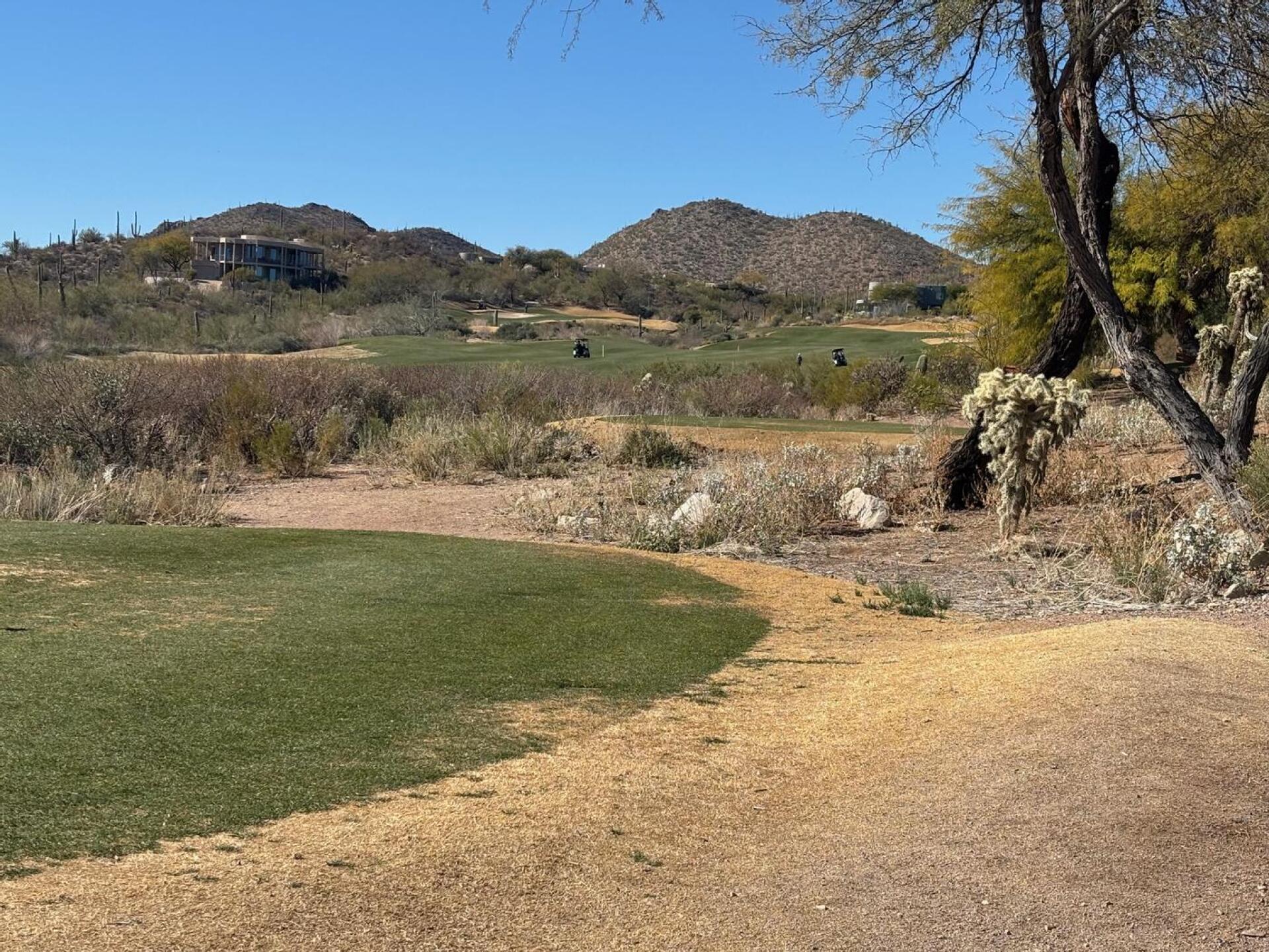 (Photo submitted by humphs60 on 02/03/2025)