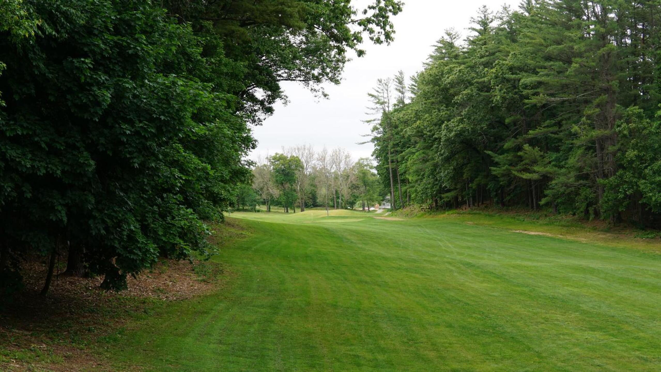 Eight is the course’s longest hole, its fairway lined by dense trees. (Photo submitted by AptlyLinked on 06/08/2023)