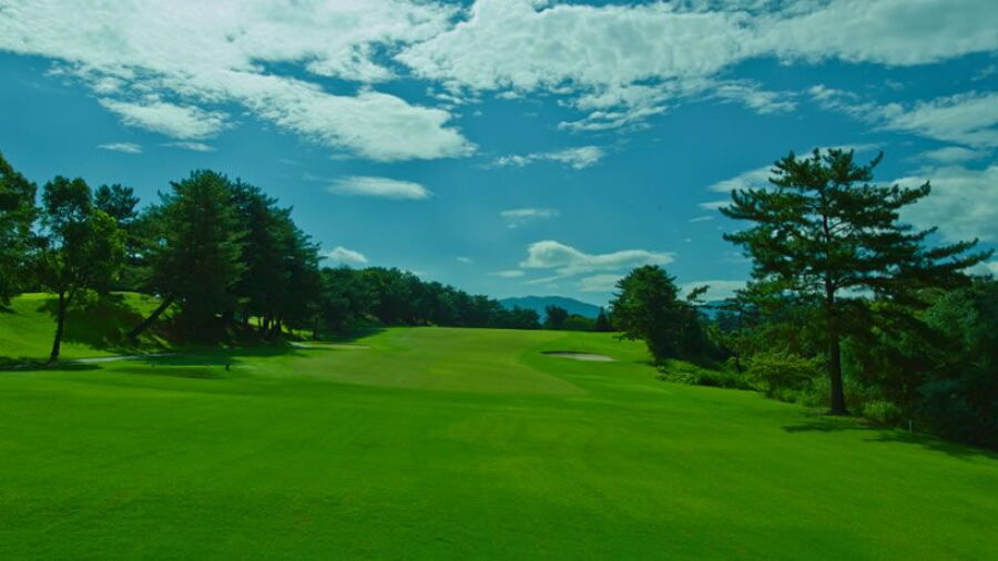 Seikyu CC - Middle: #7