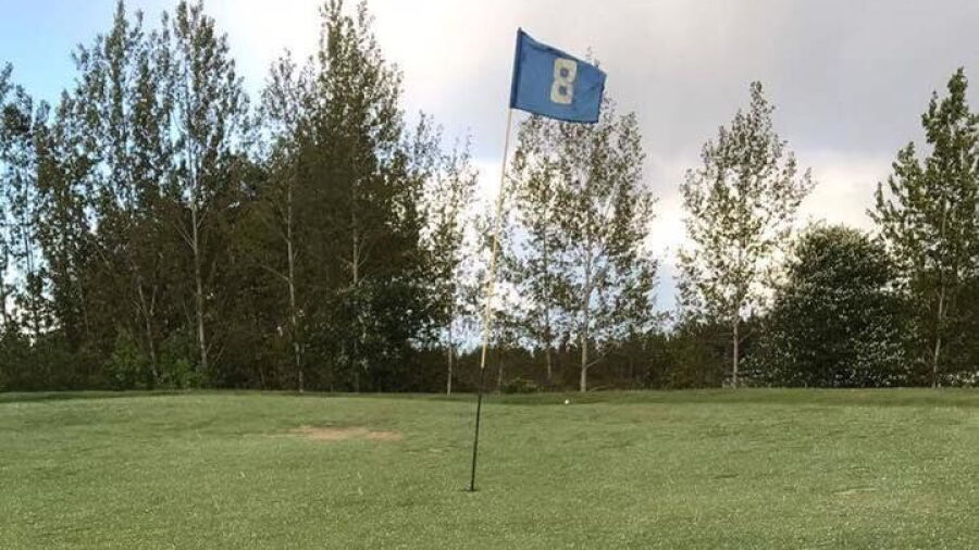 Bogey Kouvolan GC: #8