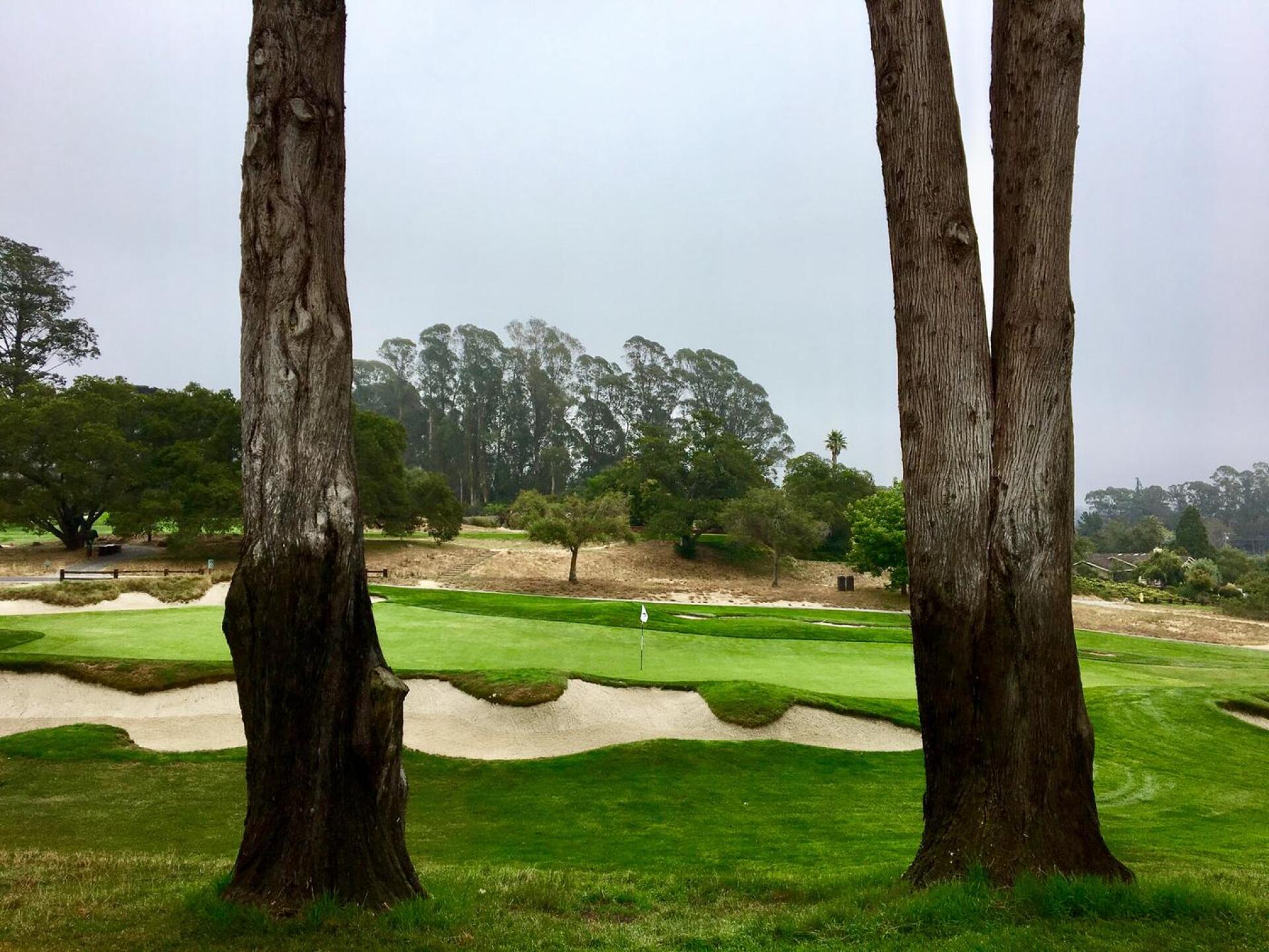 Par-3 eighth hole (Photo submitted by BrandonWebb on 08/12/2017)