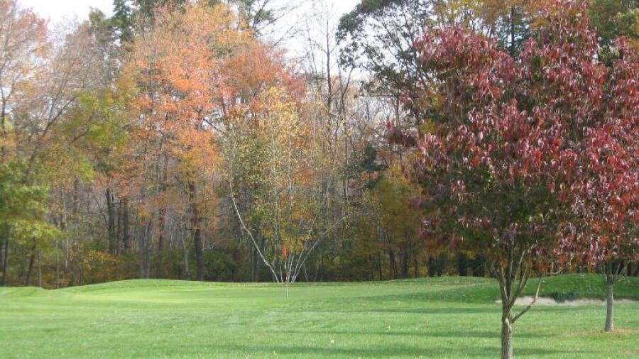 Fairway Valley GC: #4