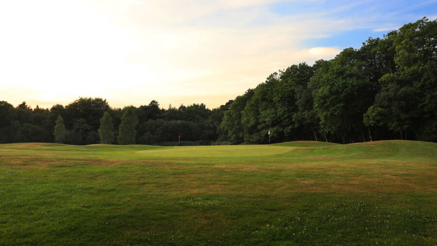 Mannings Heath GC - Kingfisher