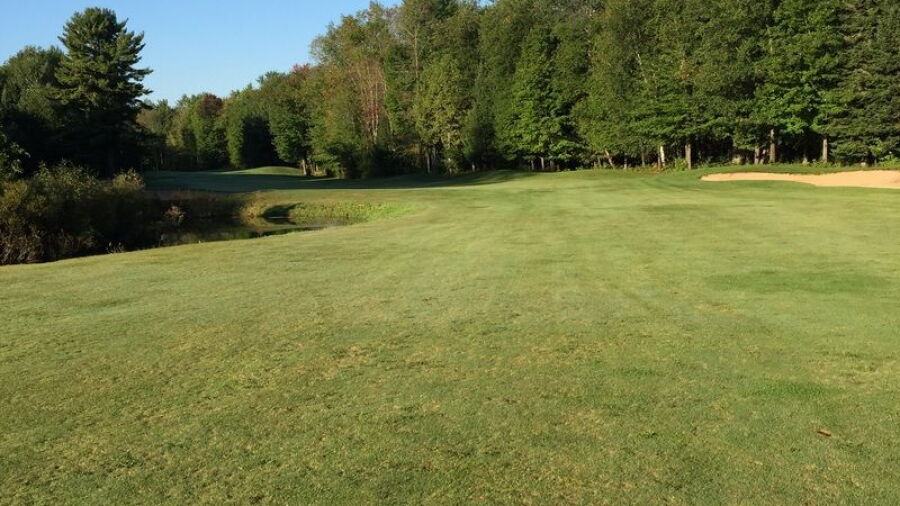 Red Maple CC
