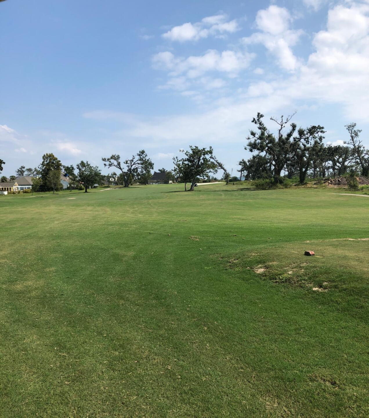 #12, one of the few still with trees. (Photo submitted by 4nsicguy on 10/16/2019)