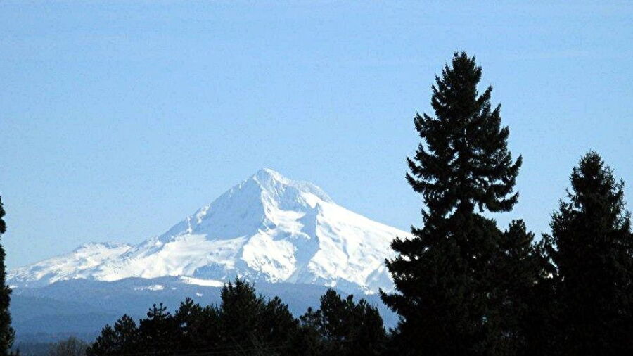 Mountain View GC
