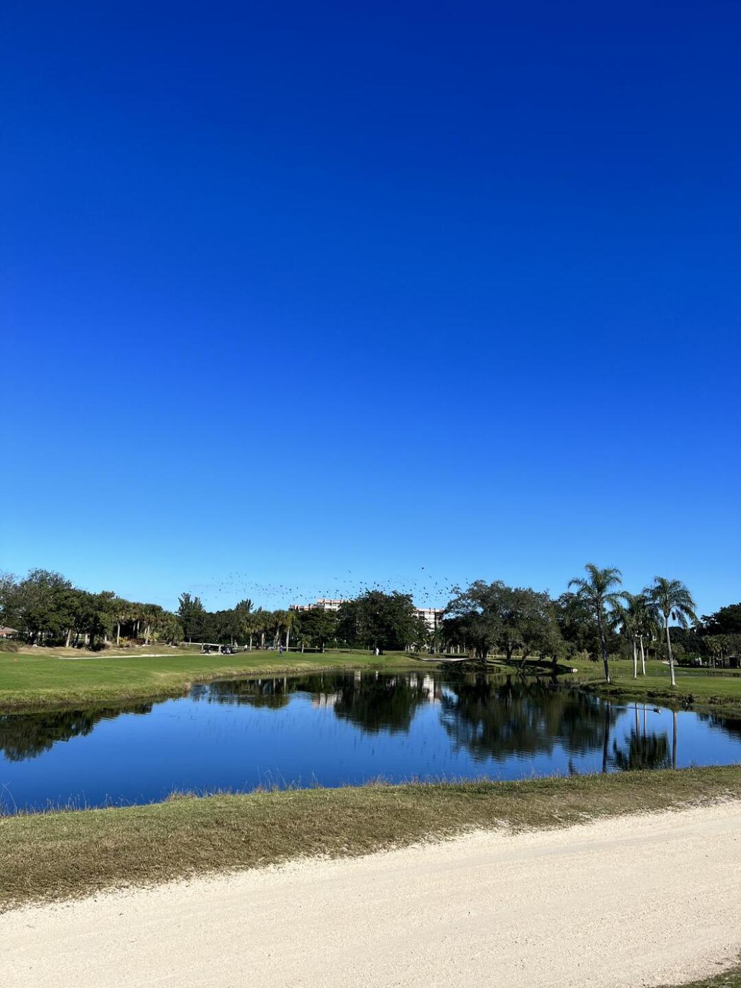 (Photo submitted by jorsuarez on 01/08/2022)