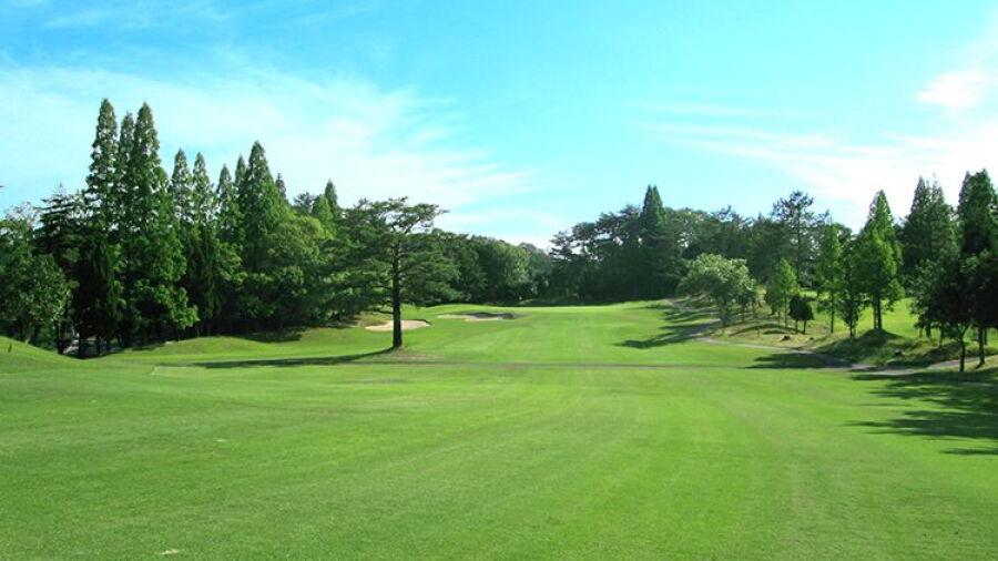 Rose GC