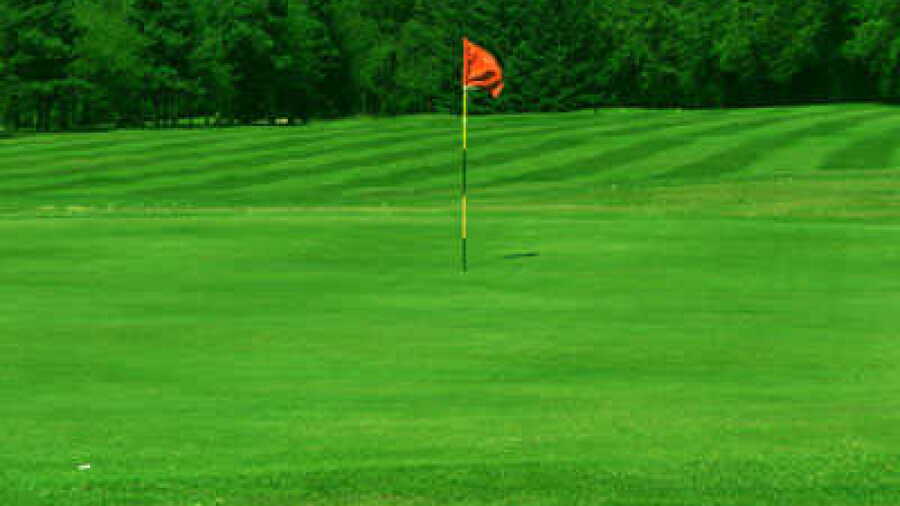 Scoonie GC: #17