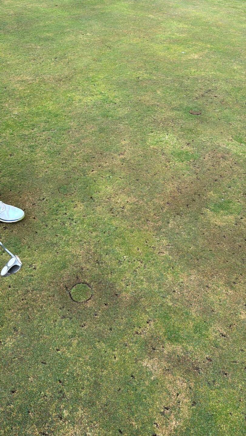 (Photo submitted by masonwhu on 04/21/2025)