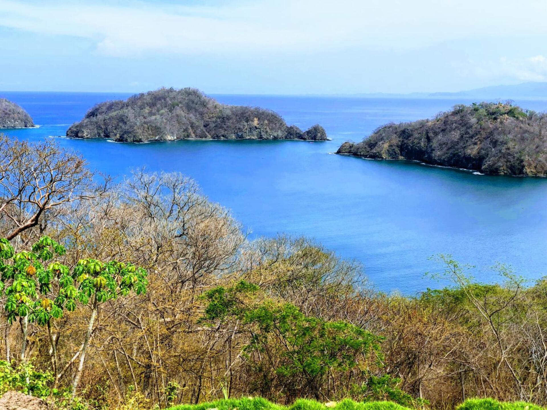 (Photo submitted by Green40us3 on 06/07/2019)