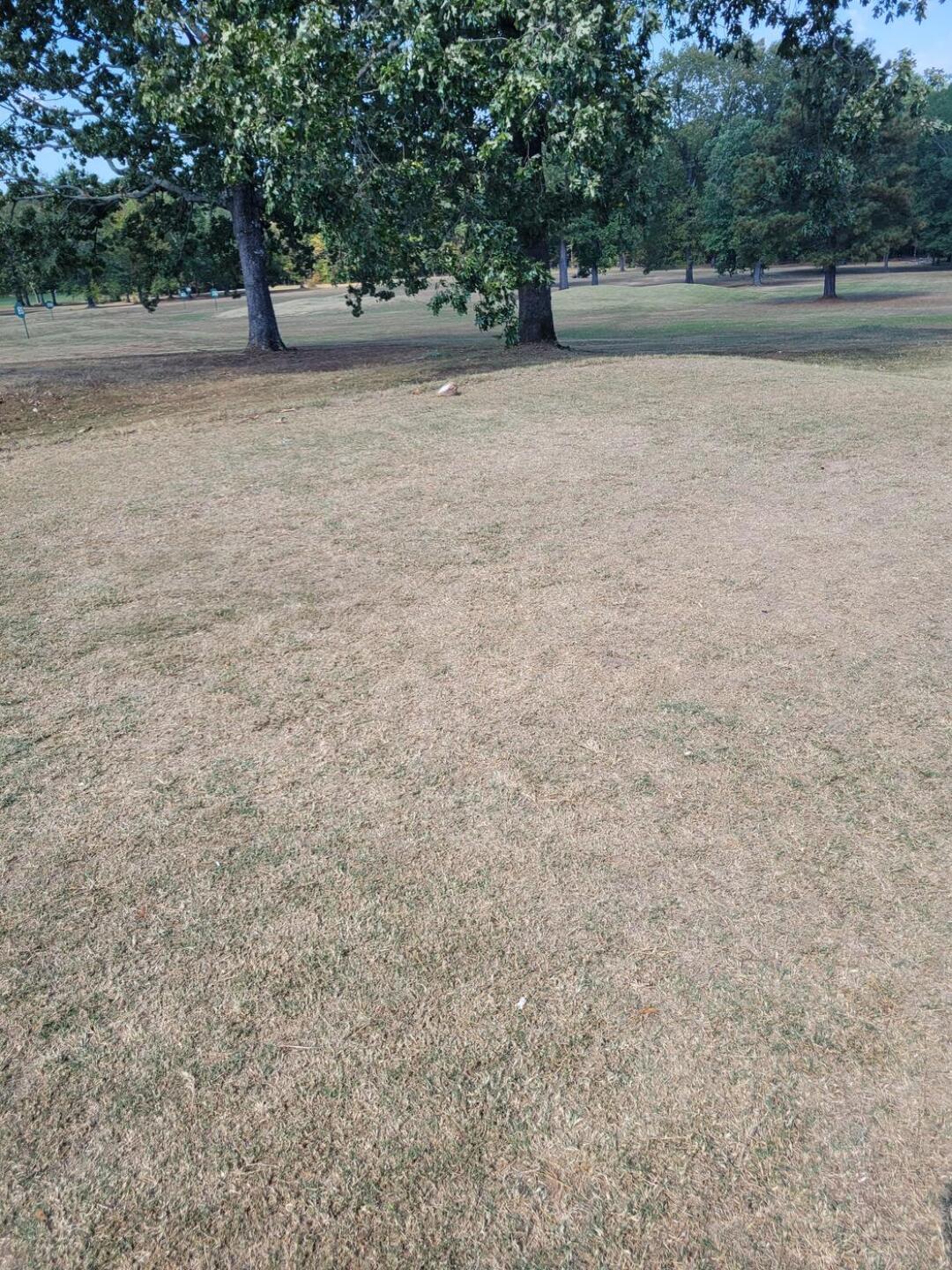 (Photo submitted by kdubsnowbird on 10/16/2022)