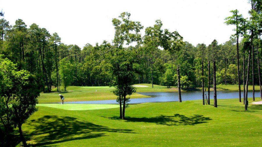 Tupelo Bay Golf Complex - Executive: #7