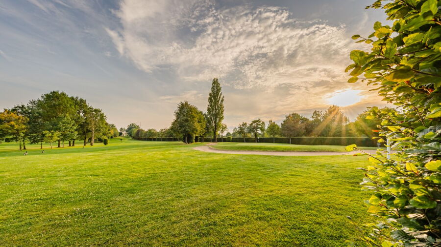 Royal Amicale Anderlecht GC