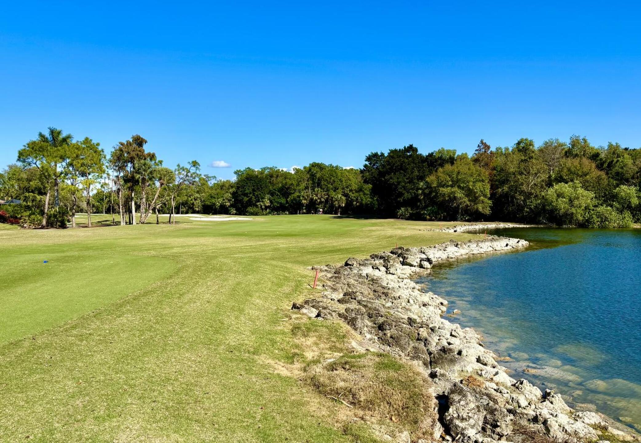 (Photo submitted by jorden17 on 02/14/2026)