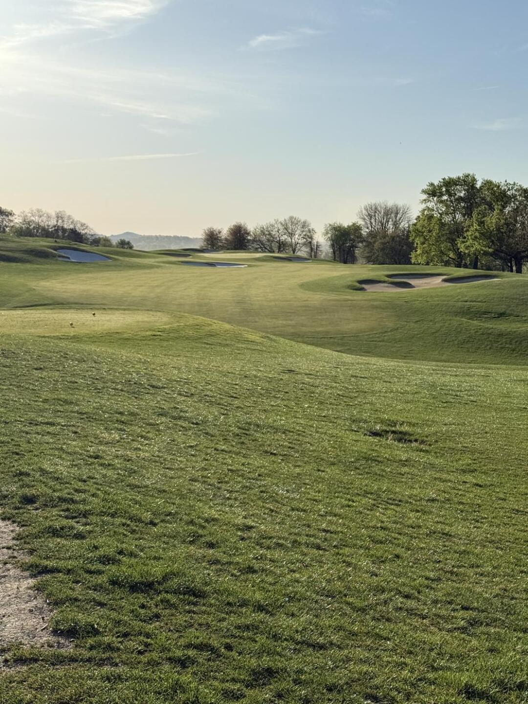 (Photo submitted by oliviaMac11 on 04/28/2025)