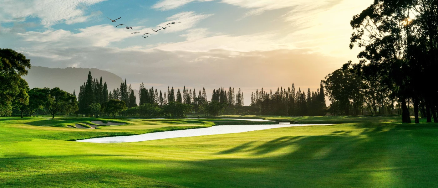 Princeville Makai Hole 17 Sunset Shot with Shadows & Nene.jpg