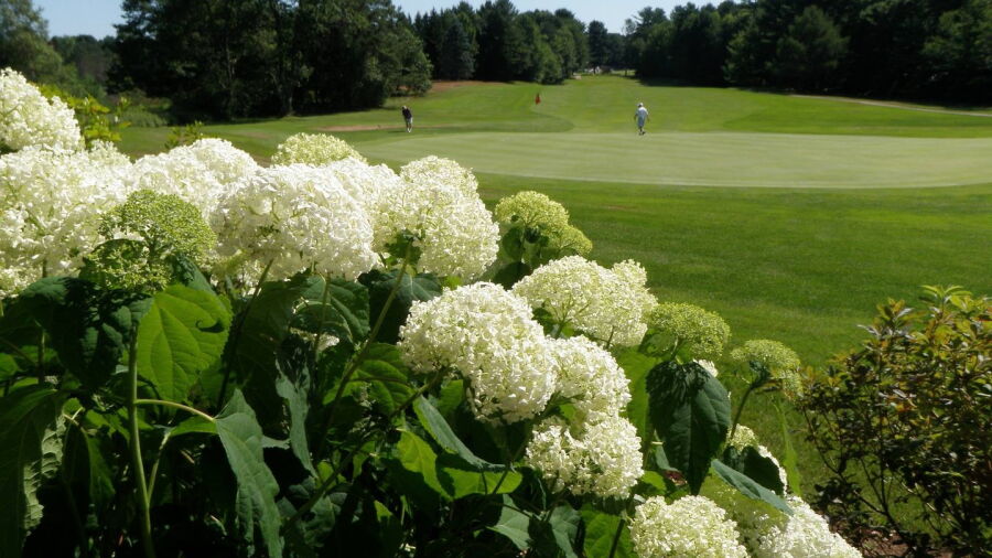 Brunswick GC