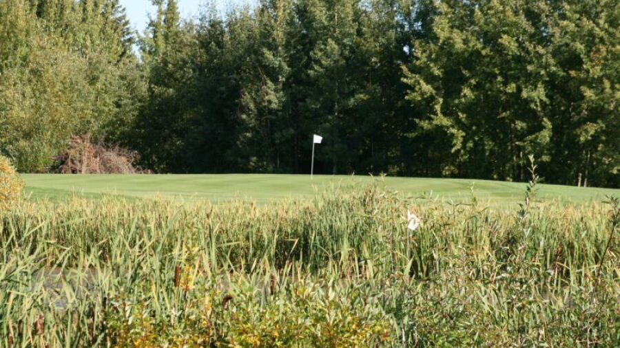 Aspen Grove GC: #14