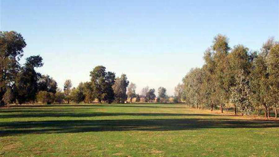 Boorhaman GC