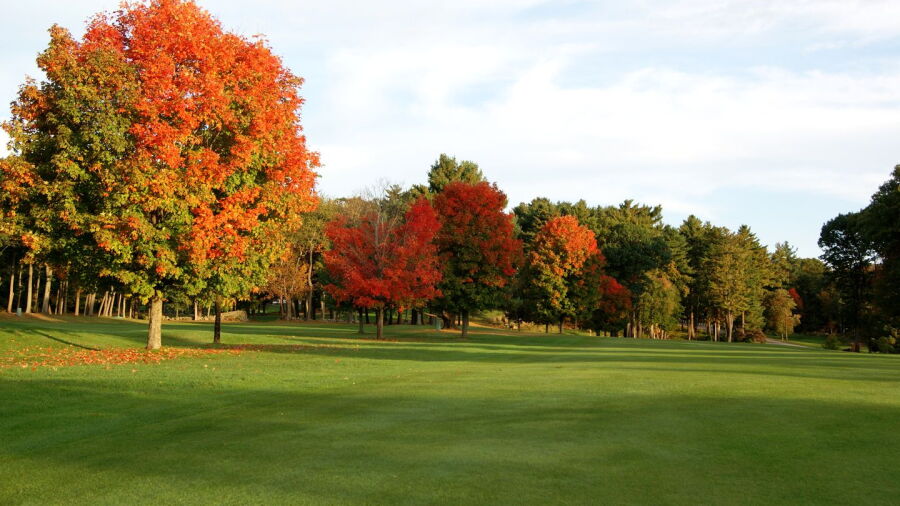 Wollaston GC