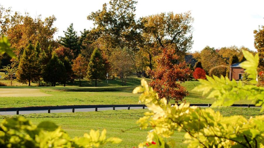 Forest Park GC