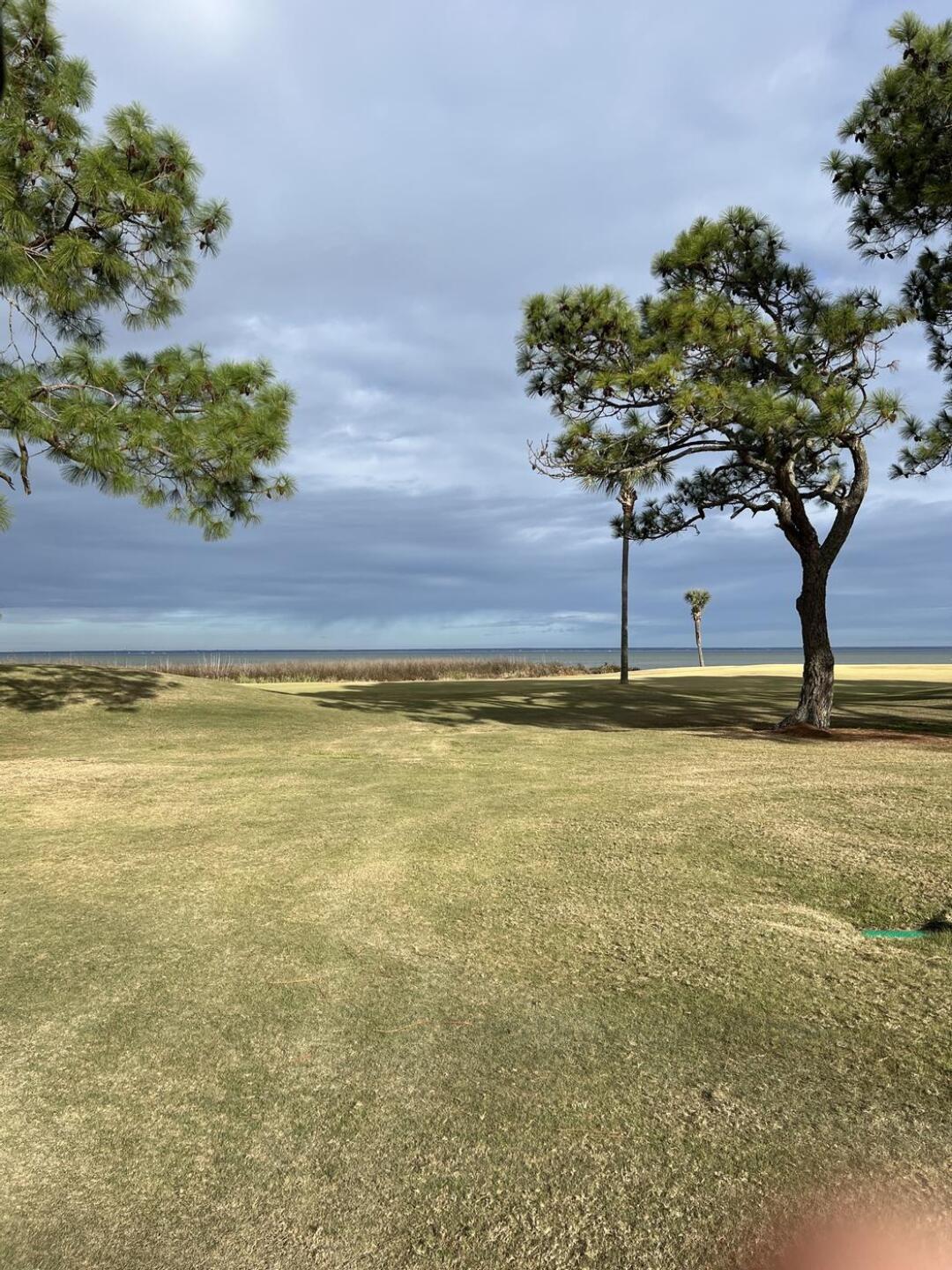 (Photo submitted by dmill19344 on 12/30/2022)