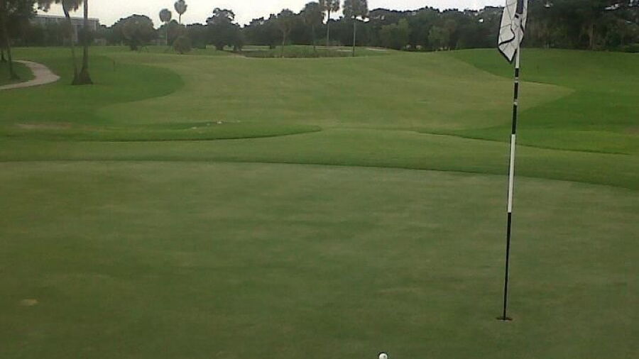 Palm-Aire CC - Cypress: #11