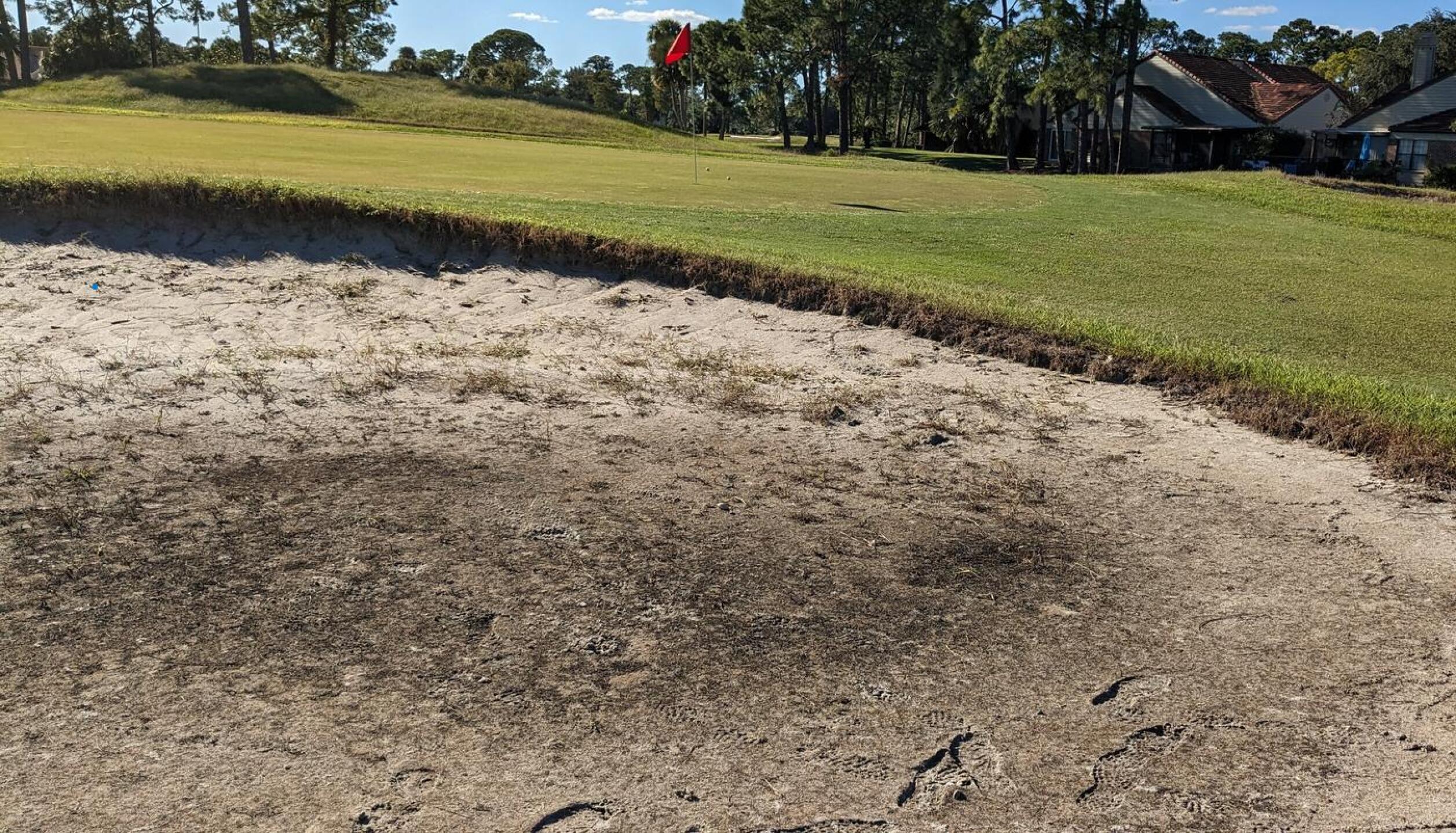 (Photo submitted by Stiff1underU on 03/30/2024)