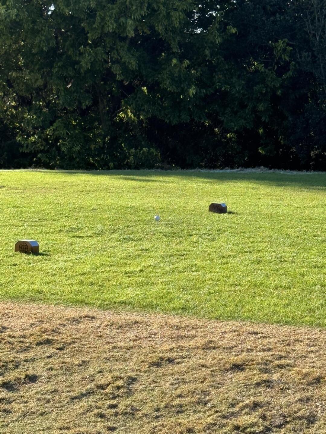 Delicious (Photo submitted by fpeaschekjr on 11/08/2025)