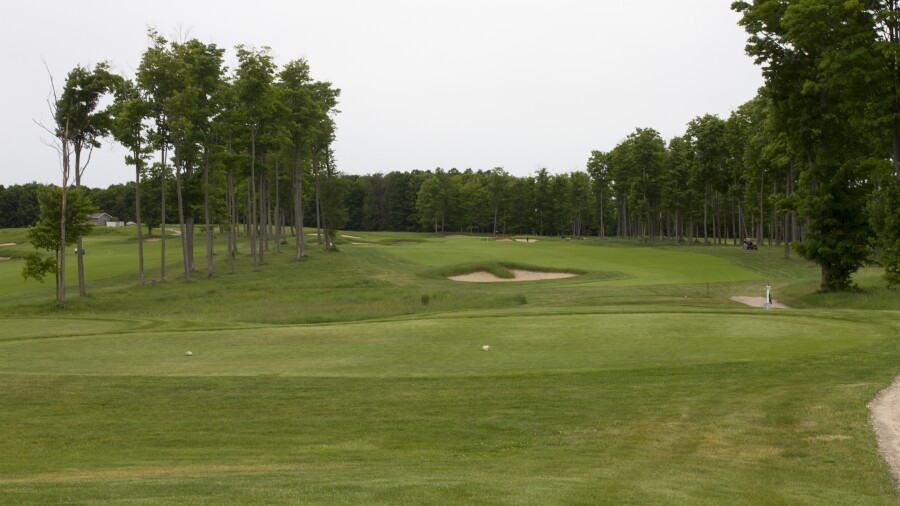 Treetops - Tradition golf course - 18th tee