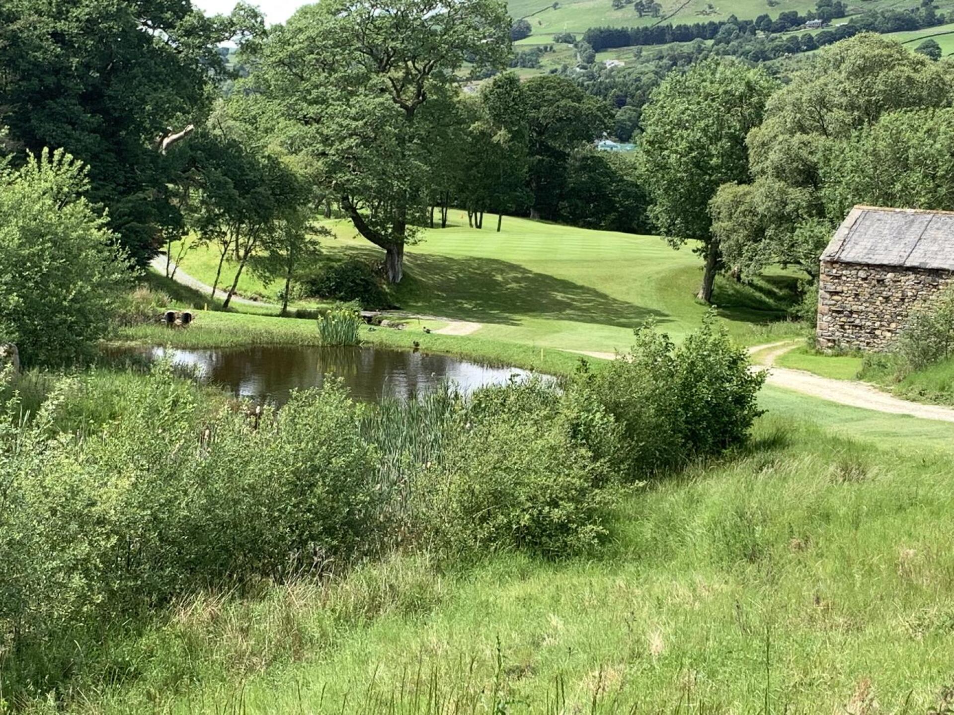 (Photo submitted by ucnvNjBB8PeGnzaq4lfV on 06/19/2025)