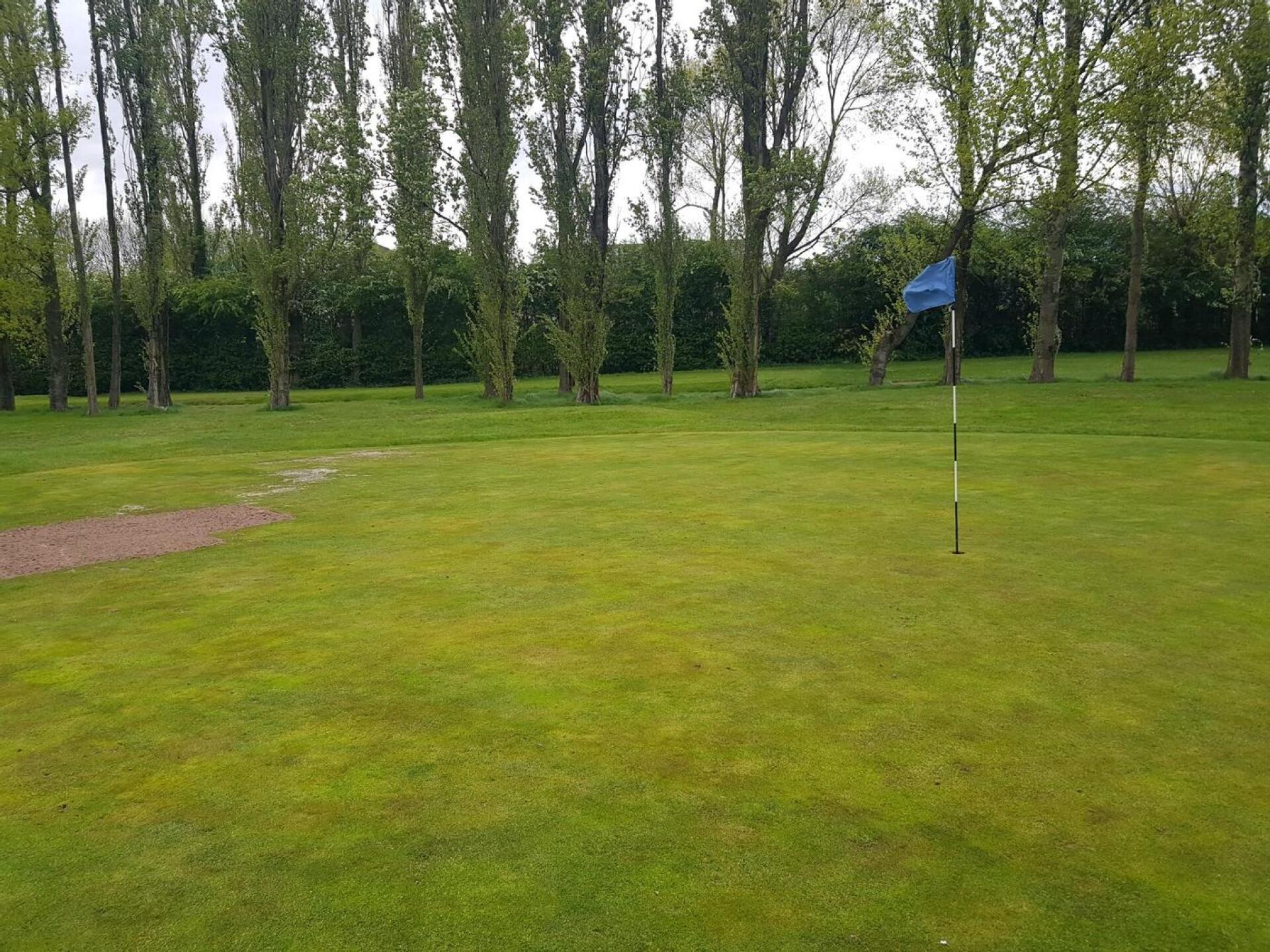 (Photo submitted by ARICCIO25 on 05/01/2024)