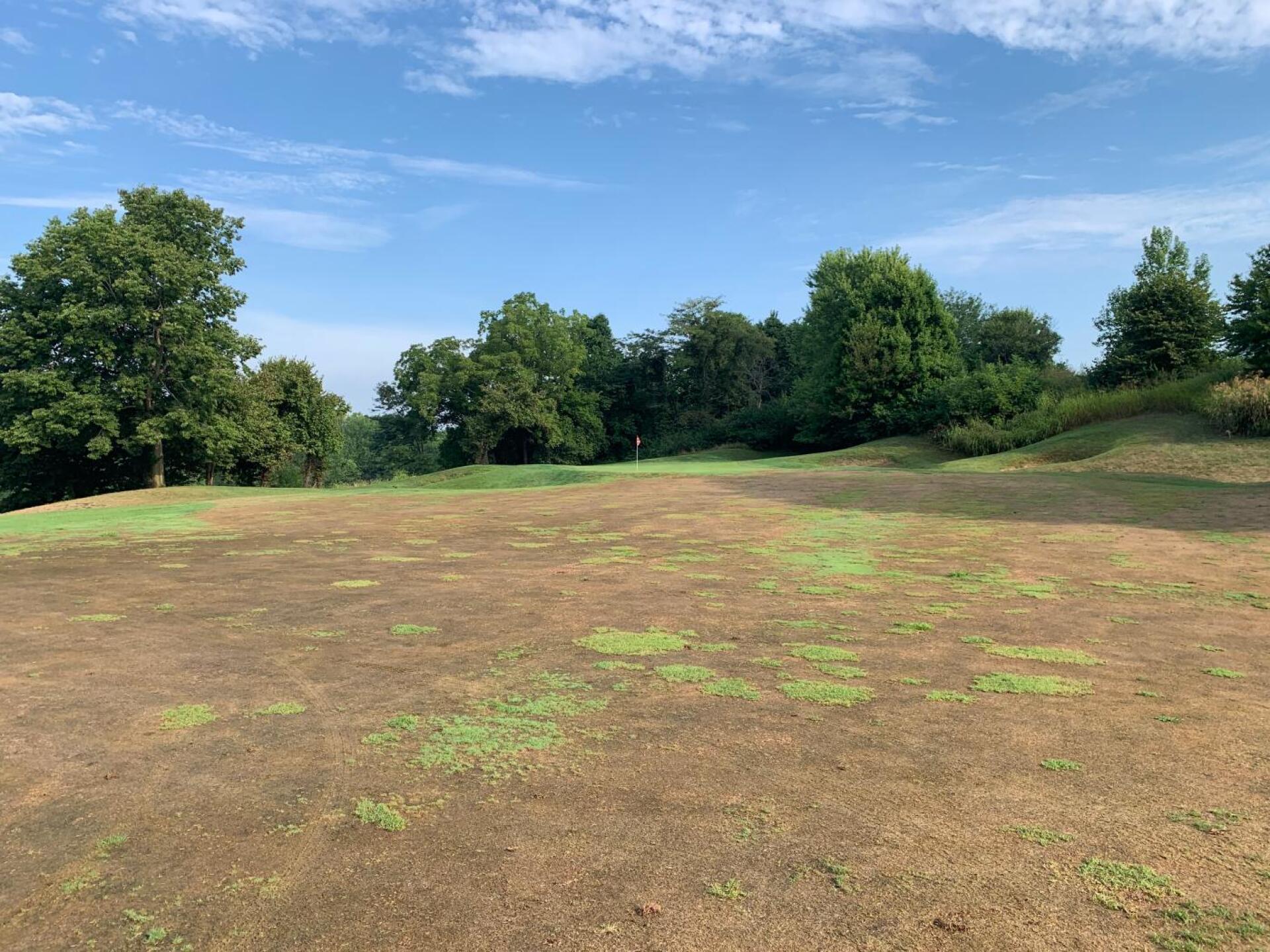 (Photo submitted by Ozcat on 08/19/2019)