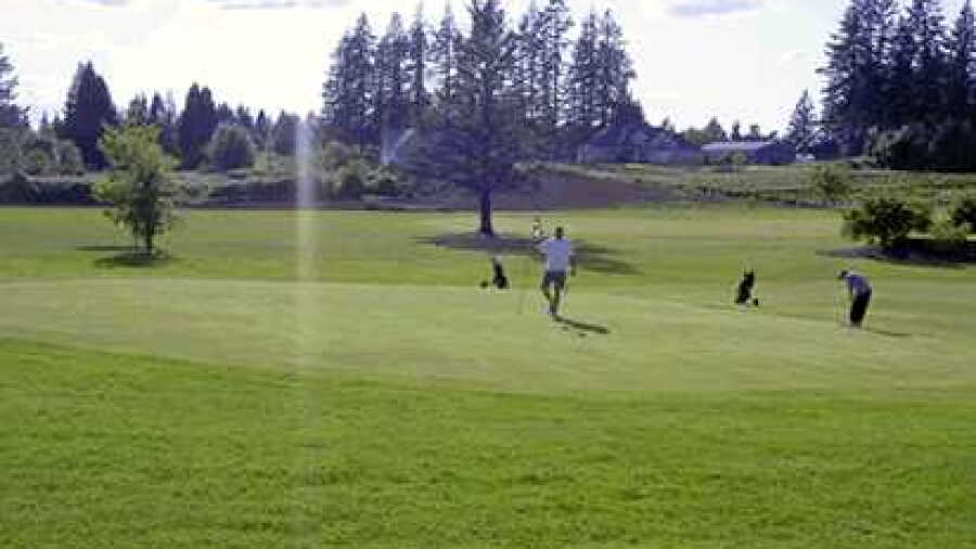 Greenlea GC: #8
