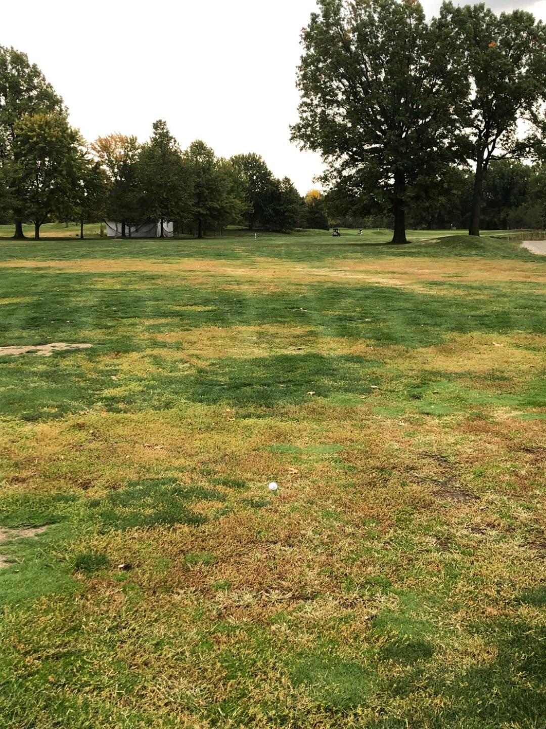 Fairway of 7 (Photo submitted by u314160630956 on 10/10/2020)