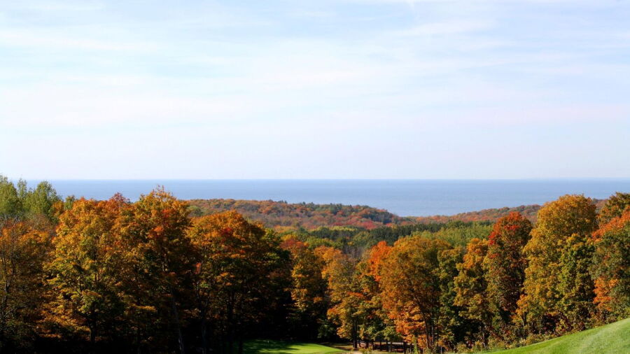 Woods at Birchwood Farms GCC