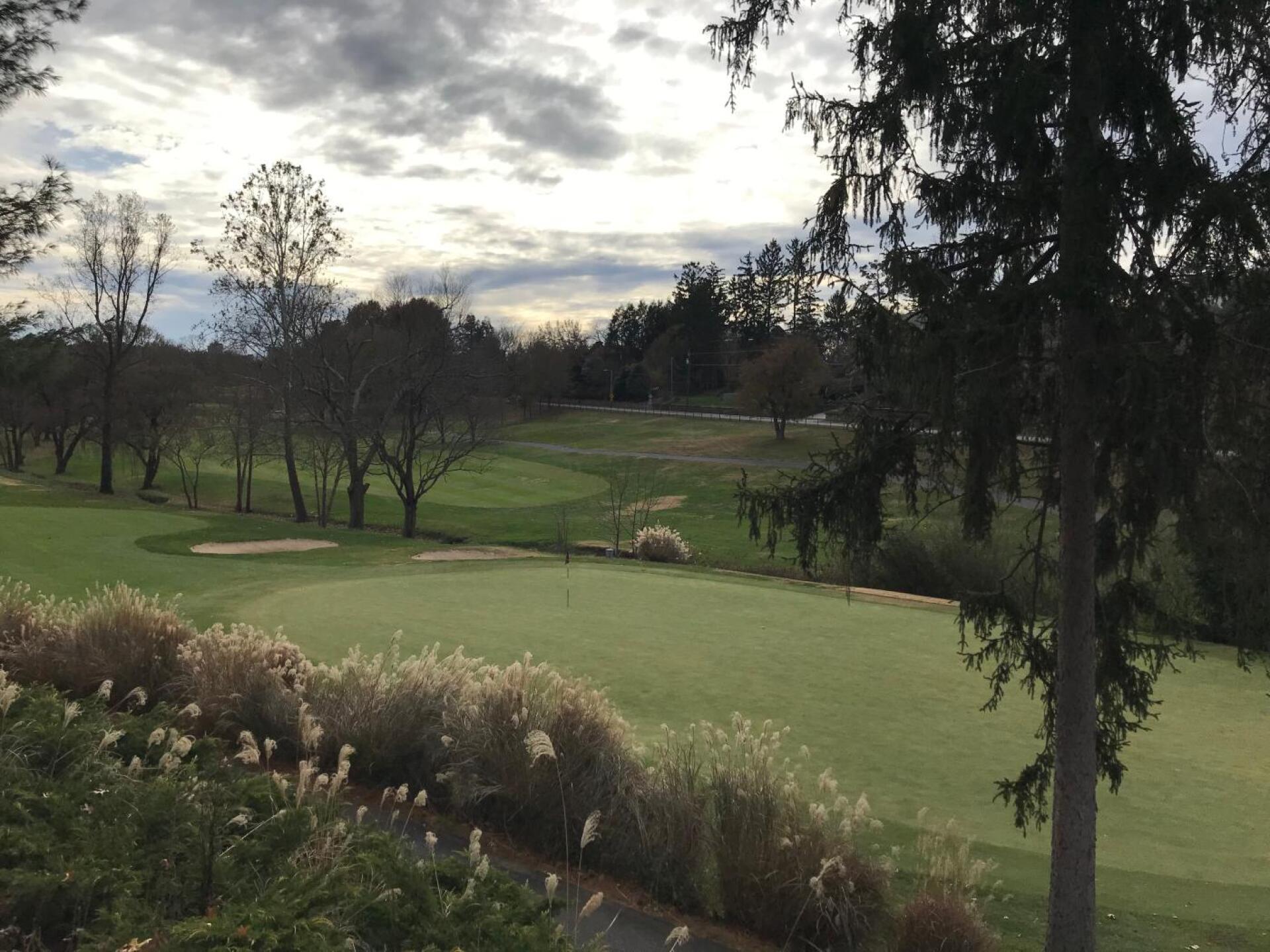 (Photo submitted by Mandcknight on 11/20/2019)