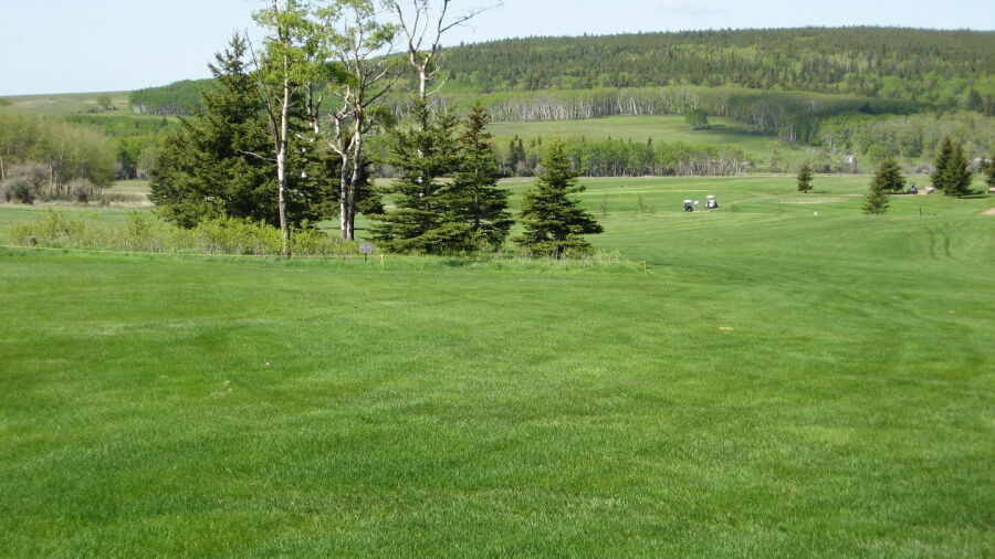 Elkwater Park GC