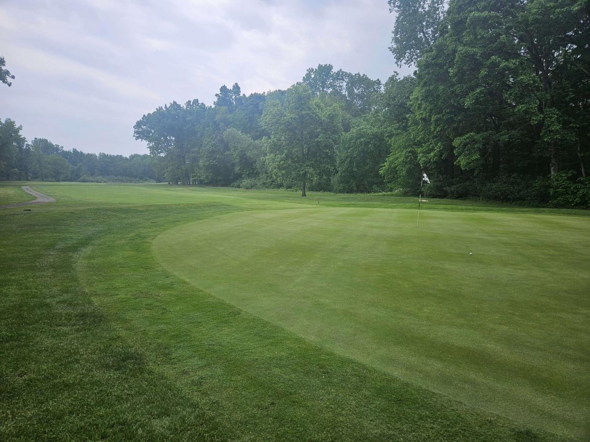 (Photo submitted by u314161622535 on 03/11/2026)