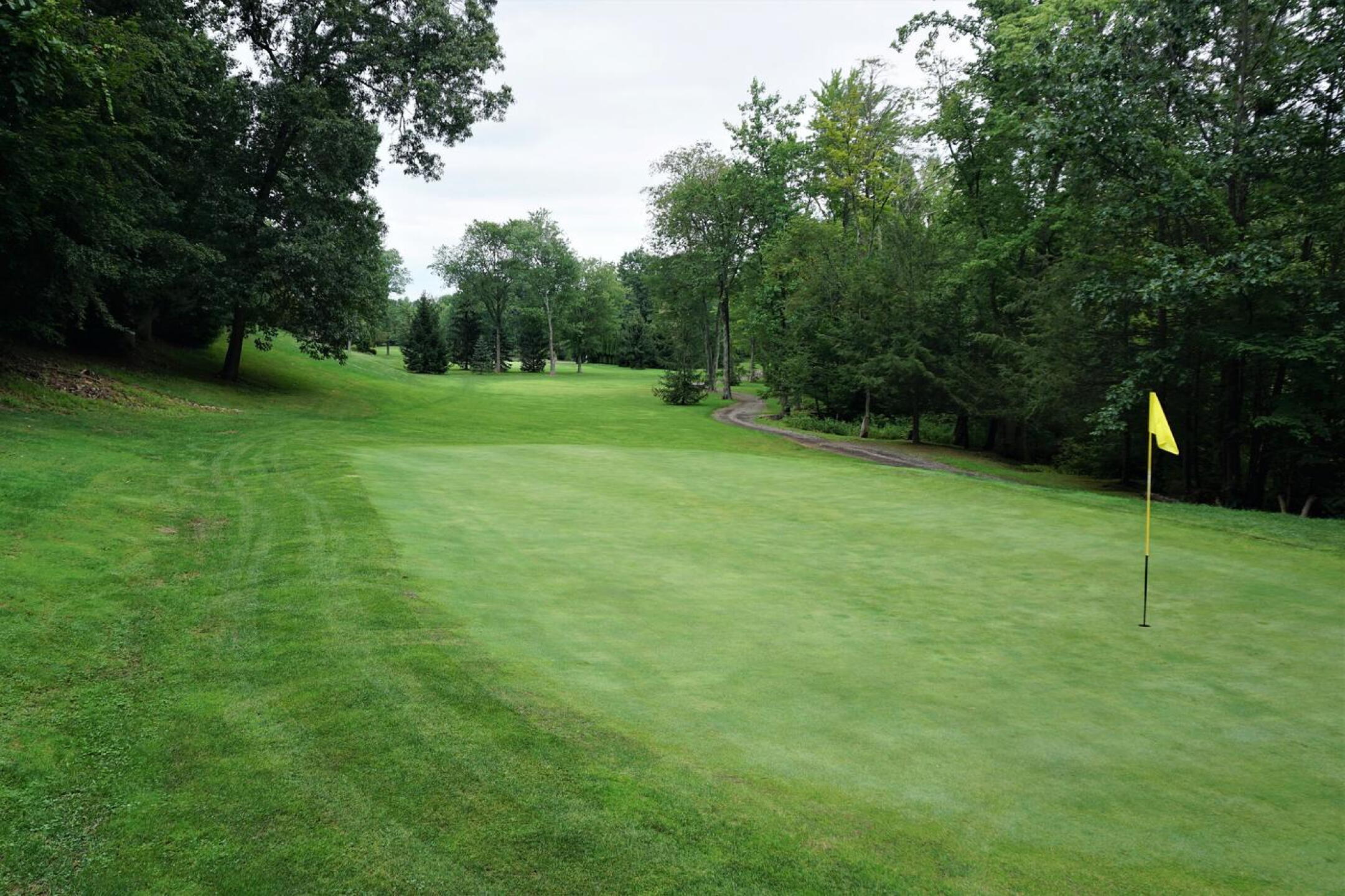 The fourth, this course’s tightest hole, features a fairway that doglegs among the woodlands. (Photo submitted by AptlyLinked on 08/09/2021)