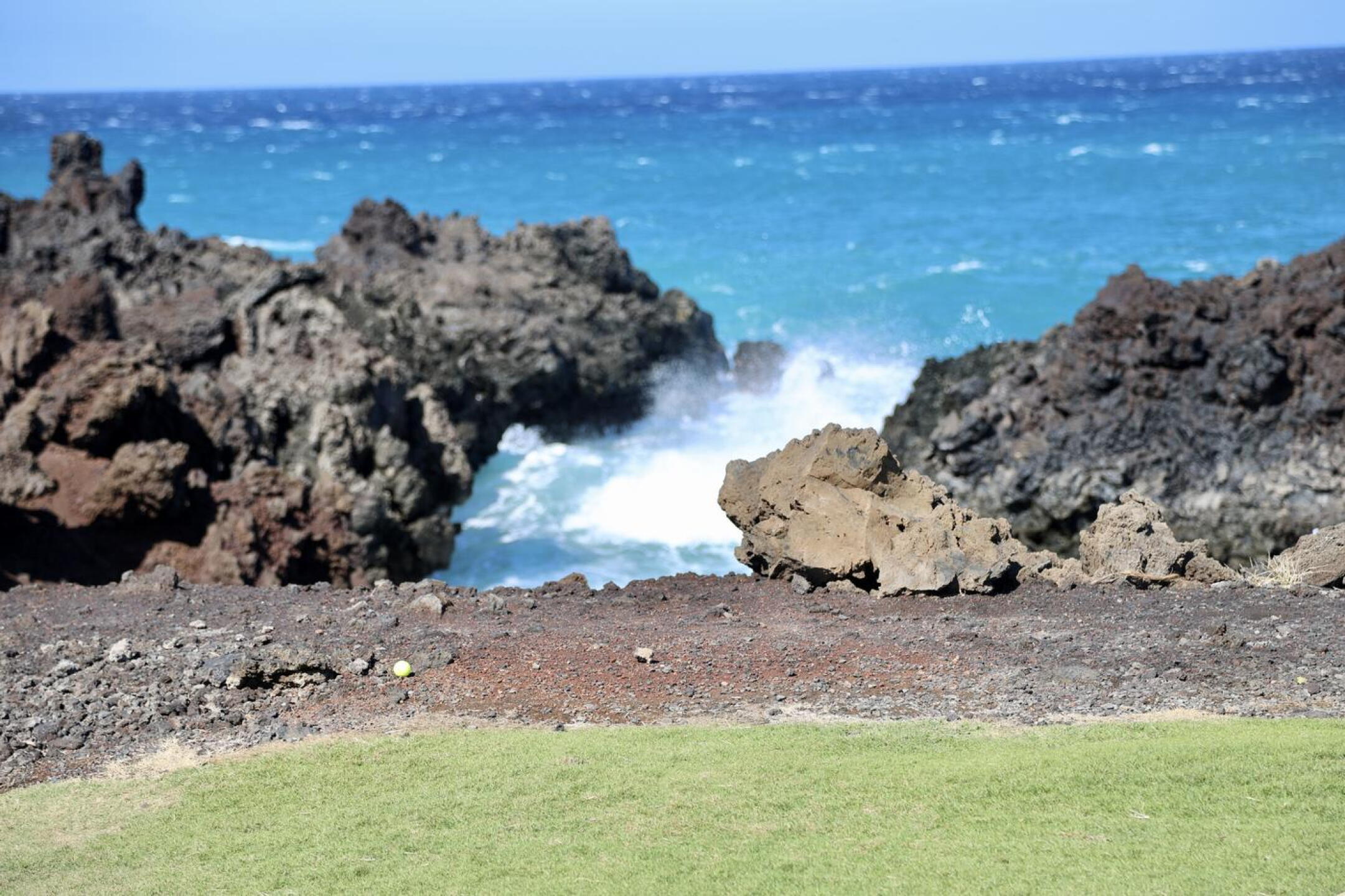 blowhole (Photo submitted by Joseph5086303 on 02/11/2024)