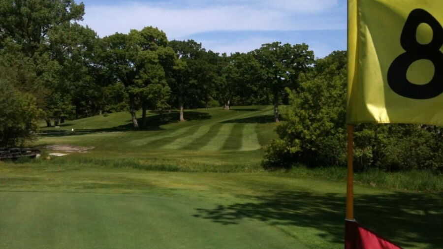 Twin Lakes CC: #8