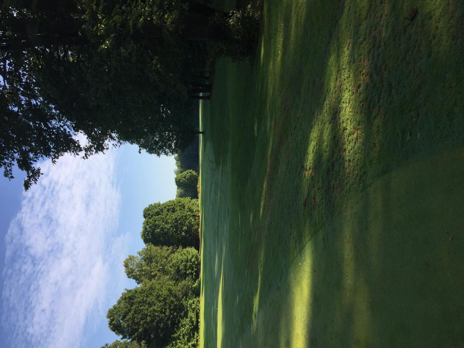 No 1 green to fairway (Photo submitted by cwilson43235 on 08/16/2016)